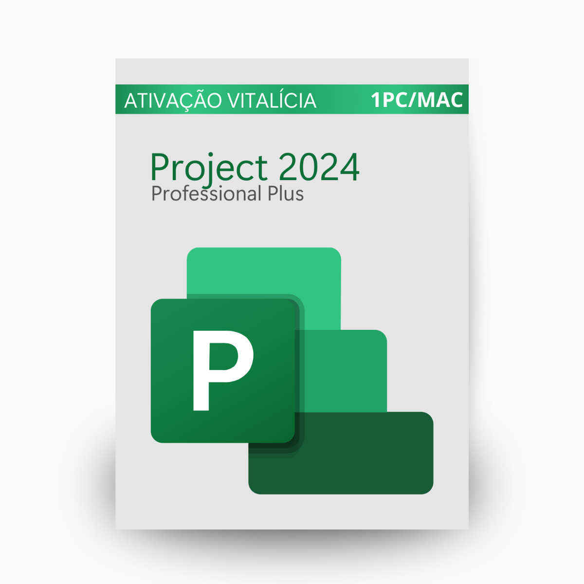 Project 2024 Professional Plus Vitalício