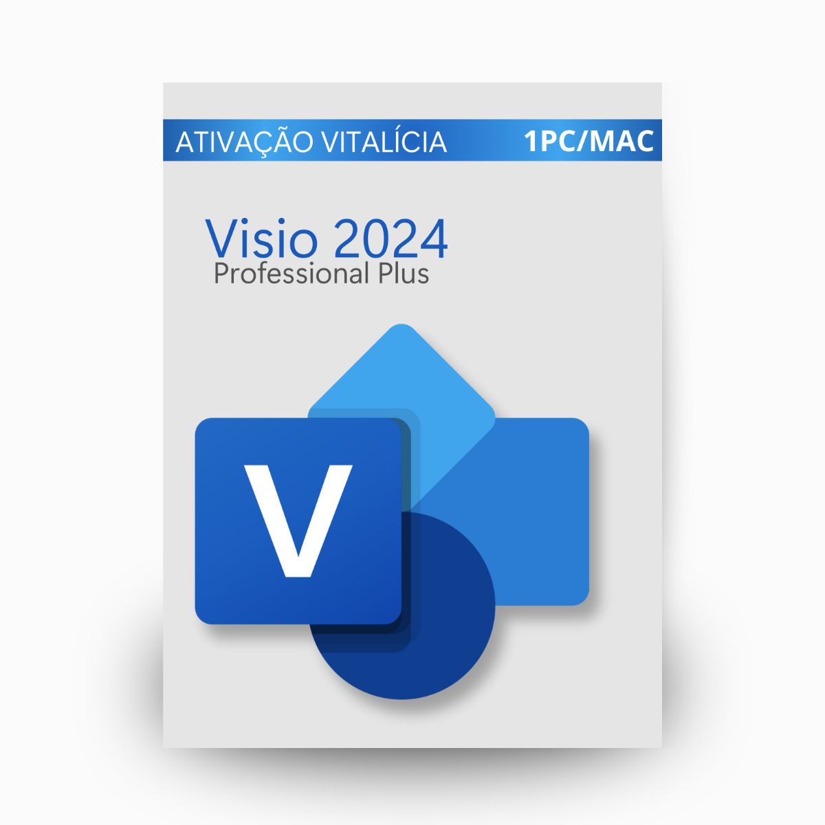 Visio 2024 Professional Plus Vitalício
